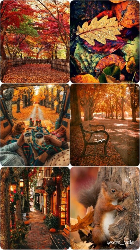 Thanksgiving Wallpaper 