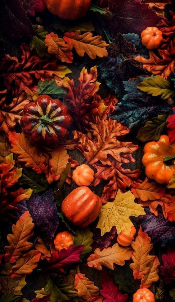 Thanksgiving Wallpaper 20