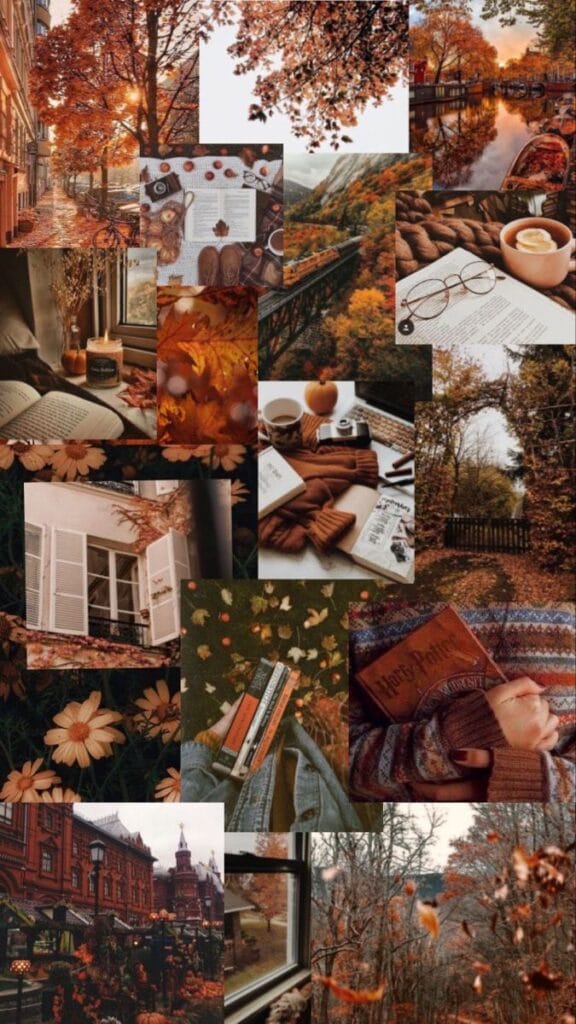 Thanksgiving Wallpaper 36