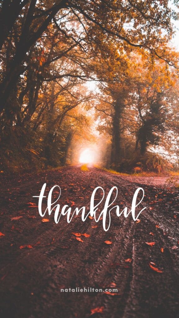 Thanksgiving Wallpaper 14