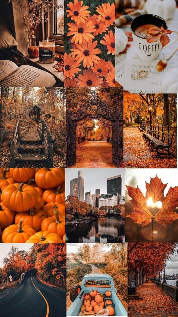 Thanksgiving Wallpaper 31