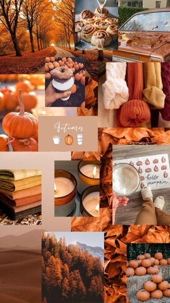 Thanksgiving Wallpaper 35
