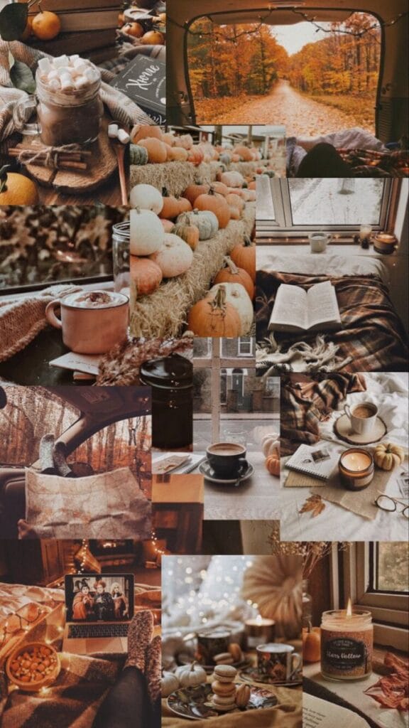 Thanksgiving Wallpaper 34