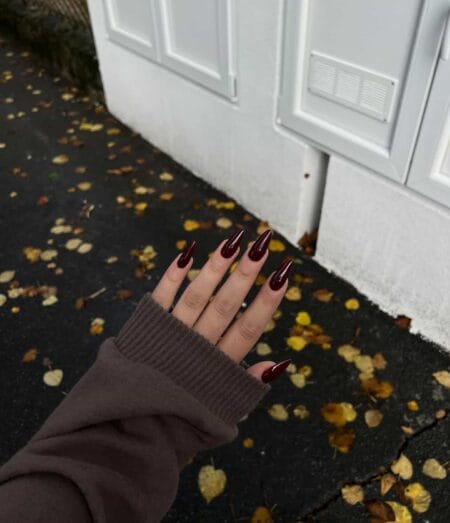 Long stiletto nails in dark cherry gloss against autumn leaves