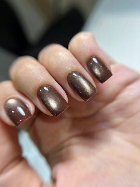 Velvet mocha magnetic nails with a warm golden shimmer