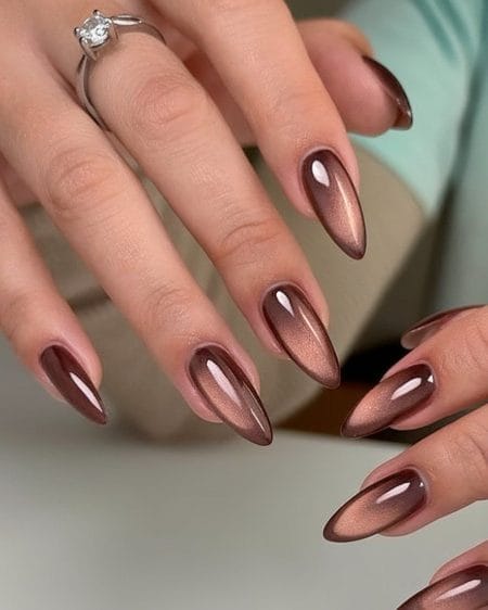 Bronze-taupe velvet cat-eye almond nails with deep brown edges