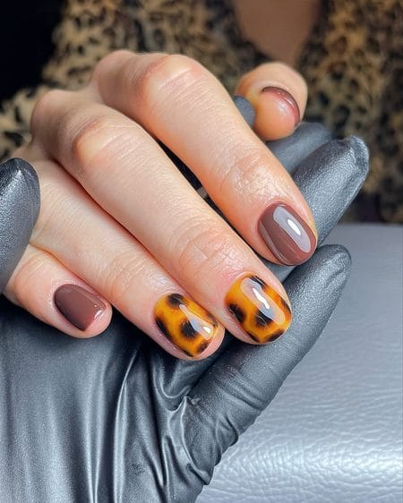Short milk chocolate nails with honey amber tortoiseshell accents